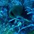 Lorrie Haynes Barrett's profile image