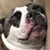 Nicole Faulds's profile image