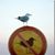 Debra Roth's profile image