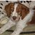 Alysia Burns's profile image