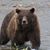 Mike Davitt's profile image