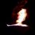 Tulani Freeman's profile image