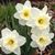 Donna Fredendall's profile image