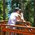Rob Godinho's profile image