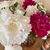 Jeanne Haywood Steele's profile image