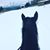 Leah Petersen's profile image