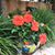 Kathy Callaway's profile image