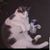 Jen Lee's profile image