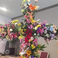 Debbie Davis's profile image