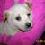 Cheri Stahr's profile image