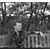 David Morse's profile image