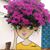 Francis Rivas's profile image