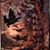 Kim Griffith Gerlach's profile image