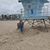 Jill A. Griggs's profile image