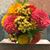 RoseMary Capozzi's profile image