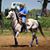 Trista Johnson's profile image