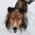 Lee Ann Tansock's profile image