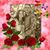 Paula Johnson's profile image