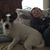 Kristin McDonald Venteicher's profile image