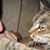 Denice Huber's profile image