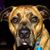 Chuck Note's profile image