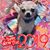 Terri Craft Russell's profile image