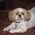 Elizabeth Woodruff McElroy's profile image