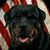 Laura Curry Loding's profile image