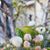 Amanda Neal's profile image