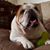 Jennifer Patterson Byrd's profile image