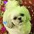 Hanna Chen's profile image
