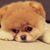 Venus Dgz's profile image
