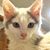 Joyce Stillman-myers's profile image