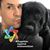 Carlos Molina's profile image