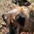 Lilah Thompson Medeiros's profile image