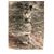 Lisa Parks Millage's profile image