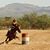 Brandy van Aulen's profile image
