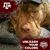 Dee Davila's profile image
