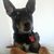 Cindy Yost's profile image