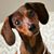 Cynthia A Evans's profile image