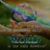 Amina Siddika Kassim Bhimji's profile image