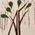 Alicianne Thomas Fritz's profile image