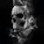 Sam Brothers's profile image