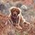 Roscoe Coltrane's profile image
