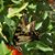 Joyce Williams Houck's profile image