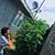 Kevin Galvan's profile image