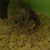 Robin Casazza's profile image