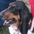Jo Haubold's profile image