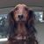 Sheila Sweeney Phillips's profile image