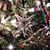 Margie Dickey Lambert's profile image